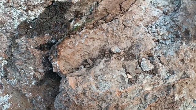 Tespit Ettiğim Kaya Oda Mezarının Hediyesini(kasa) Buldum смотреть онлайн