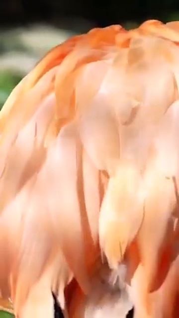 Landscapes and relaxing music смотреть онлайн