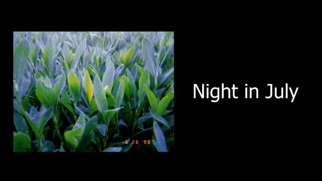 Alex Konovalov - Night In July