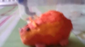 Мультик про Лаки | Лаки СБЕЖАЛ из КЛЕТКИ?!?