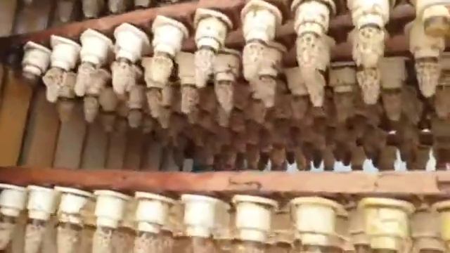 Пчеловодство. Матки на продажу. Вывод маток. Пчёлинные матки. Заказ маток Бакфаст, Карника смотреть онлайн