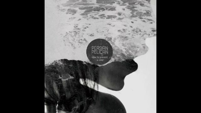 Persian Pelican - Glass Fragments in the Soup смотреть онлайн