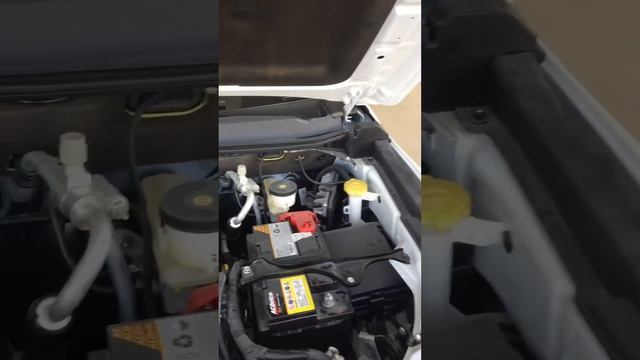 Trailblazer 🇺🇿🇺🇿🇺🇿 смотреть онлайн