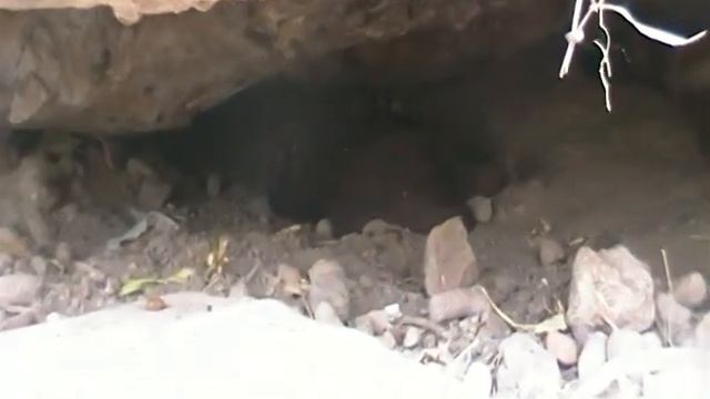 SDV_0122.MP4 смотреть онлайн