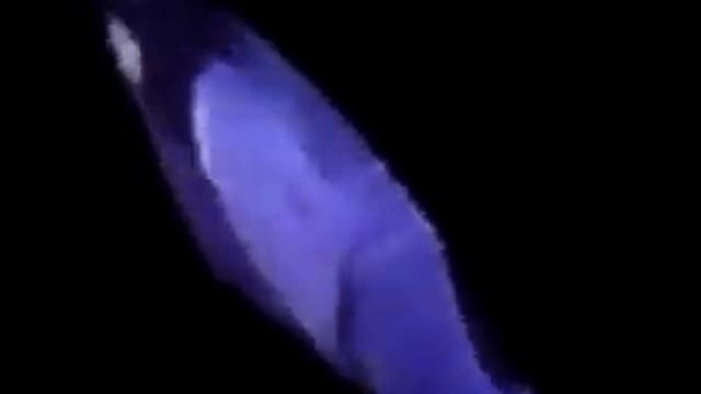 Fleetwood Mac - Big Love (live in Oberhausen am 12.10.2009) смотреть онлайн