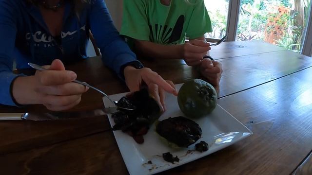 Chocolate Pudding Fruit | Black Sapote Taste Test! смотреть онлайн