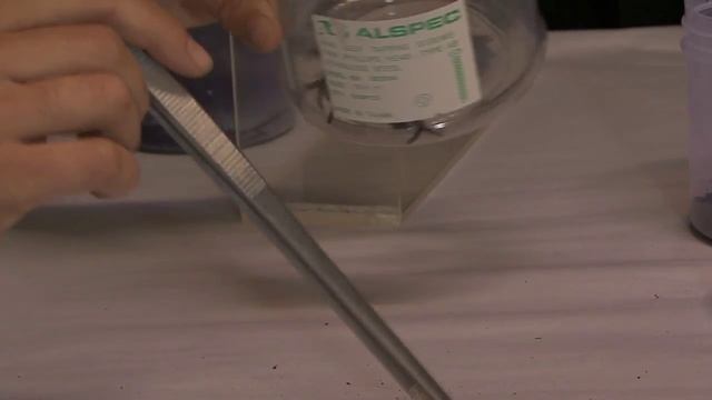 Milking Deadly Funnel-web spiders: Pt 1 Envirotube смотреть онлайн