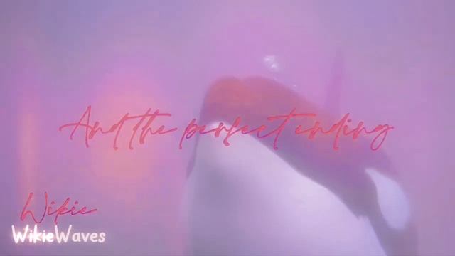 𝘞 𝘖 𝘕 𝘋 𝘌 𝘙 𝘓 𝘈 𝘕 𝘋 🌺|𝘊𝘰𝘮𝘱𝘭𝘦𝘵𝘦 𝘔𝘦𝘱 смотреть онлайн
