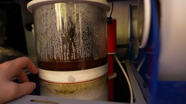 Mini Bubble King 200 - Setup & initial Review - Royal Exclusiv Protein Skimmer