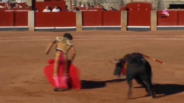 Previa corrida de las luces 2019 смотреть онлайн