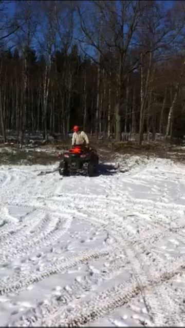 Test av start med baklastad timmervagn смотреть онлайн