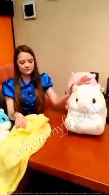 Хомяк 3в1 с пледом смотреть онлайн