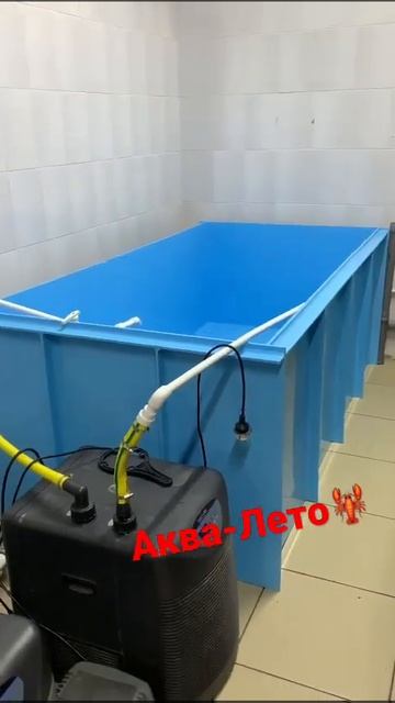 Изготавливаем емкости для разведения рака #рак смотреть онлайн