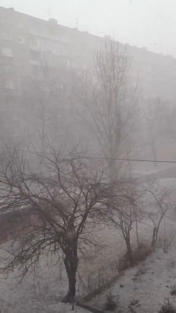 Калининградская весна смотреть онлайн