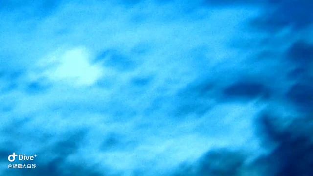 綠島。大白沙Steel Reef🌟古氏新魟Neotrygon kuhlii🌟【日月。潛行】 смотреть онлайн