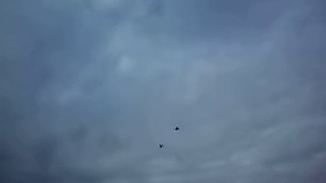 голуби Николаевские Одесская обл г Балта 19.11.2017. смотреть онлайн