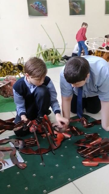 Контактно-игровая выставка-конструктор «3D Насекомые» смотреть онлайн