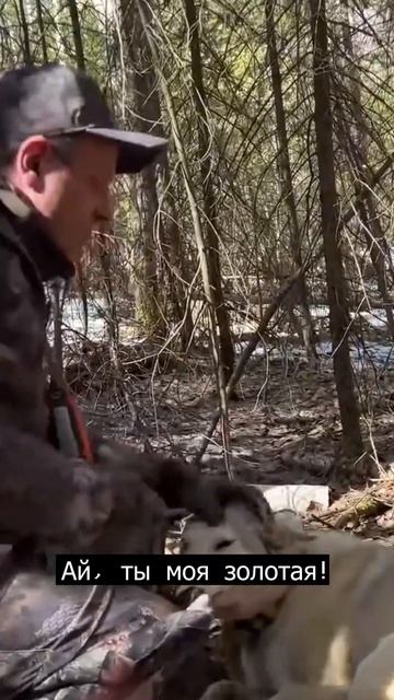 Росомаха порезала лайку смотреть онлайн