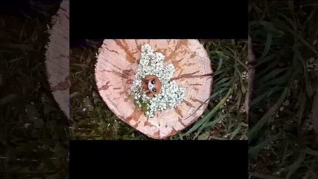 VLOG lps Ч.О. смотреть онлайн
