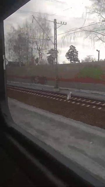 Еду зайцем на Экспресс электричке смотреть онлайн