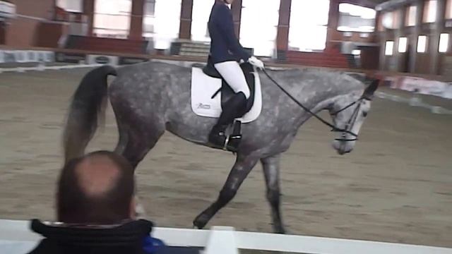 151128 Денисенко Оксана команда IIC & Monarchy-10 ЖКЗ Всеукраинские соревнования по выездке Финал смотреть онлайн