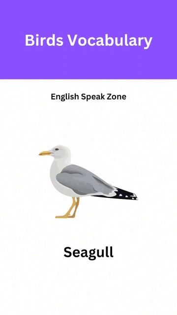 Birds Vocabulary in English #learnenglish #english #englishspeaking смотреть онлайн