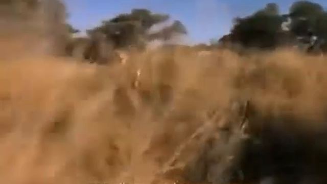 Бесстрашная девушка. смотреть онлайн