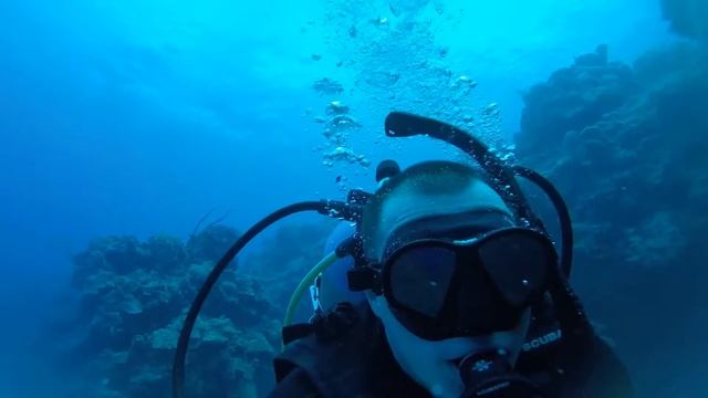 Cayman Dive смотреть онлайн