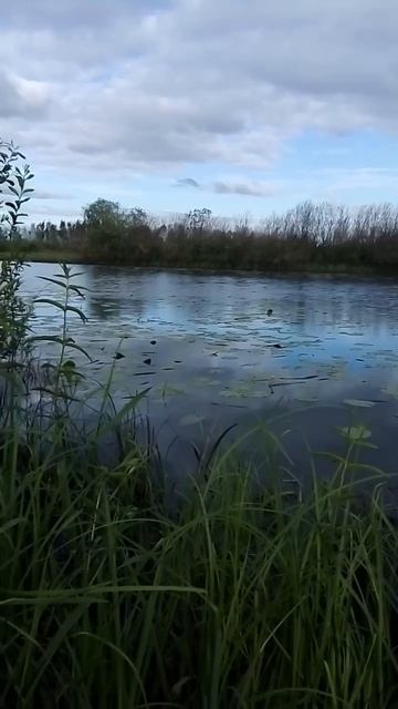 Озеро Попович смотреть онлайн