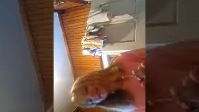 Декор уборка и подарки 3часть смотреть онлайн