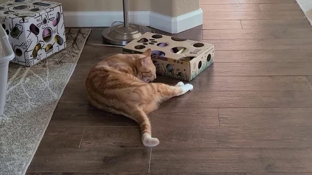 Leroy and the box of treats смотреть онлайн