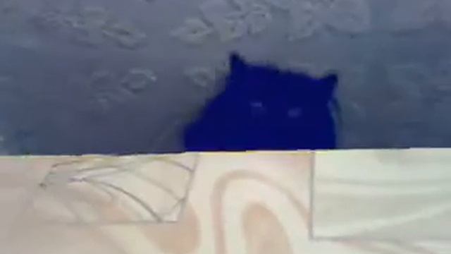 Кошка жжет смотреть онлайн