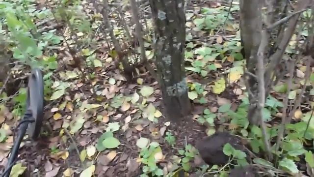 ТОП 10 ЭМОЦИЙ ЭТОГО ЛЕТА! Охота за сокровищами!!! смотреть онлайн