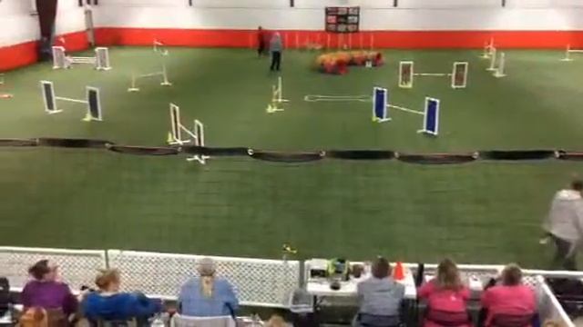 Millie's Master's JWW Run 4-23-2016