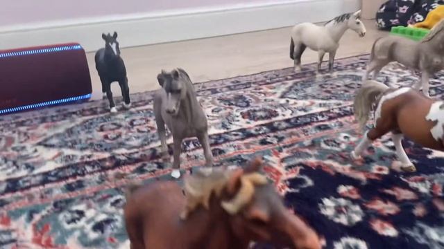 Звезды клип про лошади смотреть онлайн