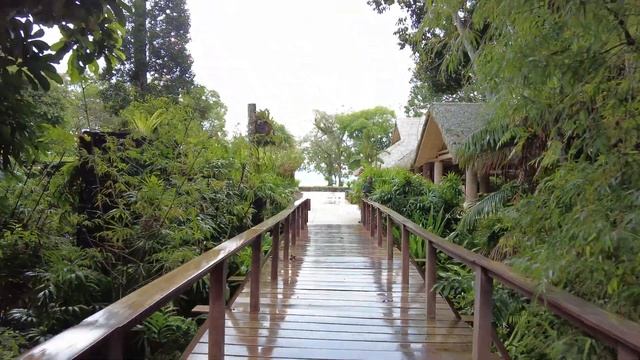 The Datai Langkawi Malaysia【Full Tour In 4k】