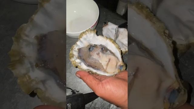 Giant Oyster смотреть онлайн