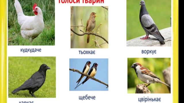 Слова, які називають дії предметів. смотреть онлайн