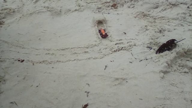 Winterferien смотреть онлайн