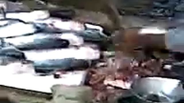 Fish cating BY M s M 08607960037 смотреть онлайн