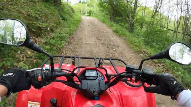 Yamaha Grizzly 350 4K смотреть онлайн
