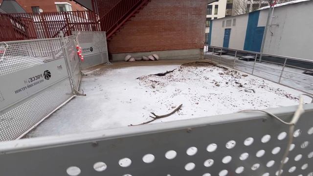 MSRS акции Россети Московский регион