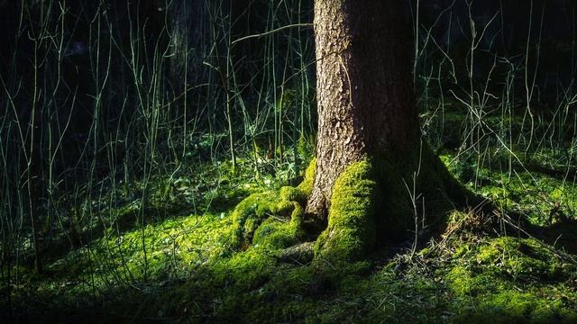 Between - Om Namo Buddhaya смотреть онлайн