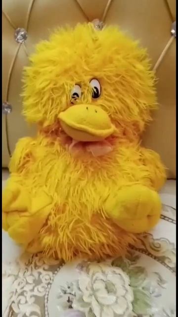 Duck #stuffedtoy @dawoodandmaha2804 смотреть онлайн