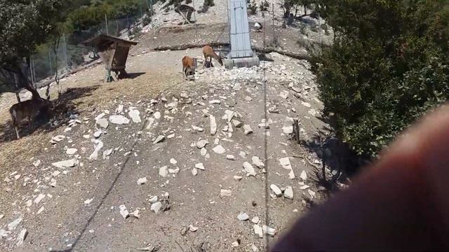 "Сафари парк"вид сверху смотреть онлайн