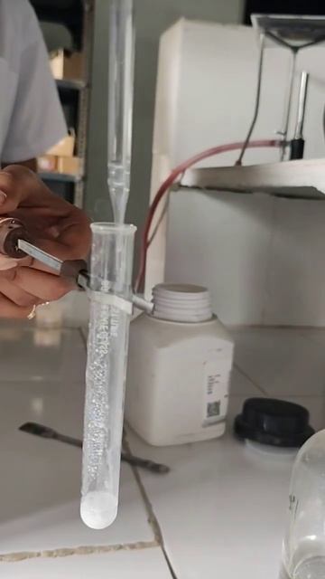 Carbonate anion identification test #chemistrypracticals #briskeffervescence #ytshorts смотреть онлайн