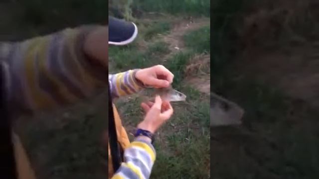 ерш смотреть онлайн