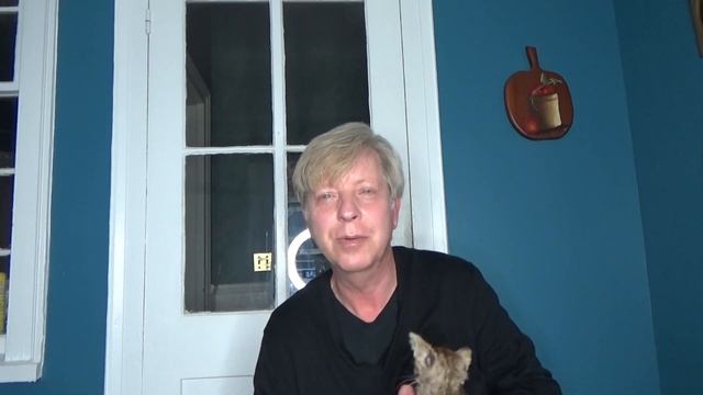 We Rescued A Sick Kitty смотреть онлайн
