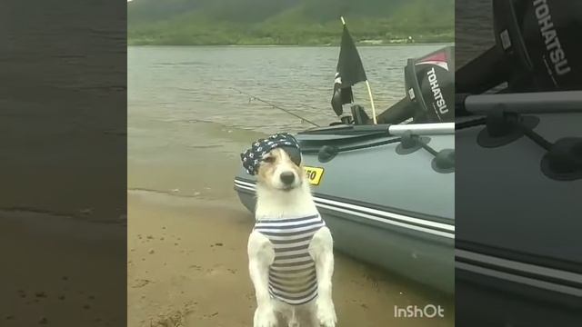Волжский пират! смотреть онлайн