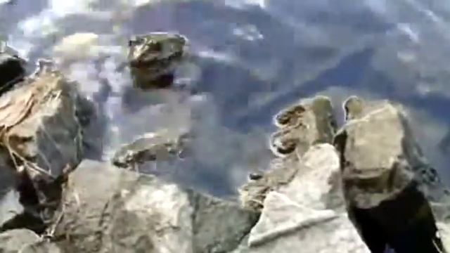 Челябинская лягушка смотреть онлайн